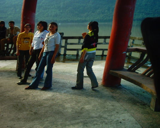 2006  (96)